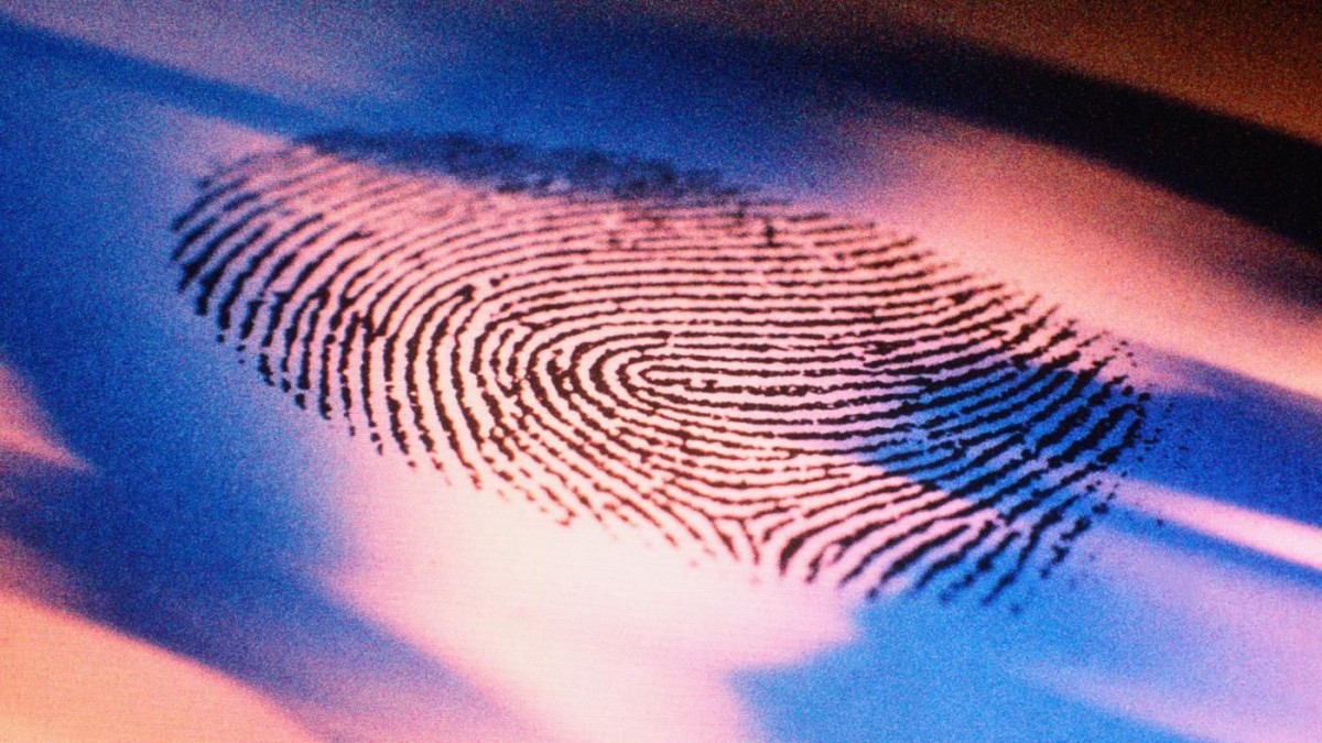Биометрия: сдаем отпечатки пальцев для шенгенской визы